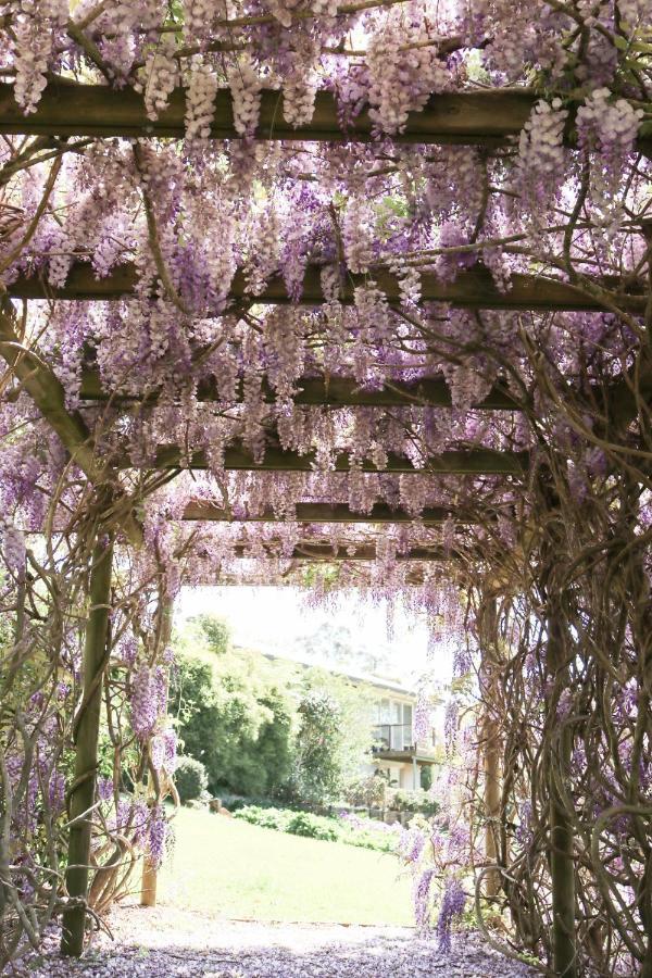 Flower Farm Tamborine Mountain Маунт Тамборин Екстериор снимка